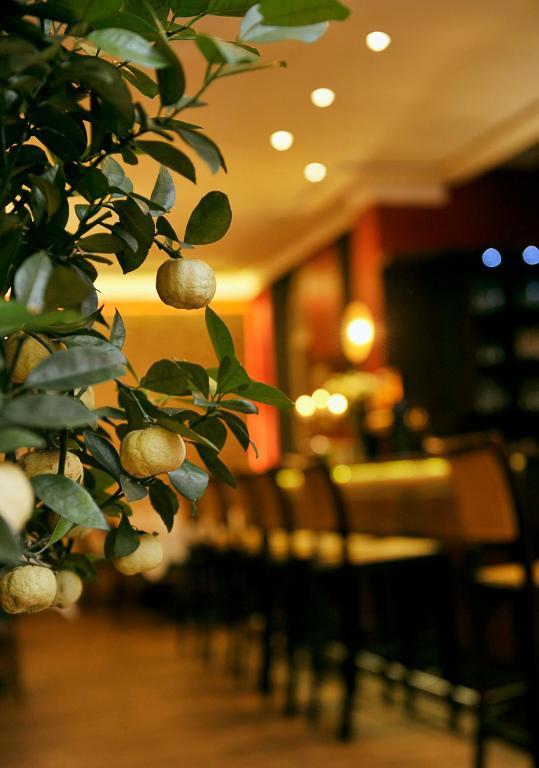 Altstadthotel Am Theater Chociebuż Zewnętrze zdjęcie
